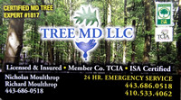 TREE MD LLC